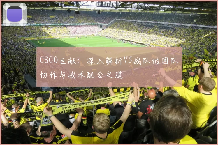 CSGO巨献：深入解析V5战队的团队协作与战术配合之道