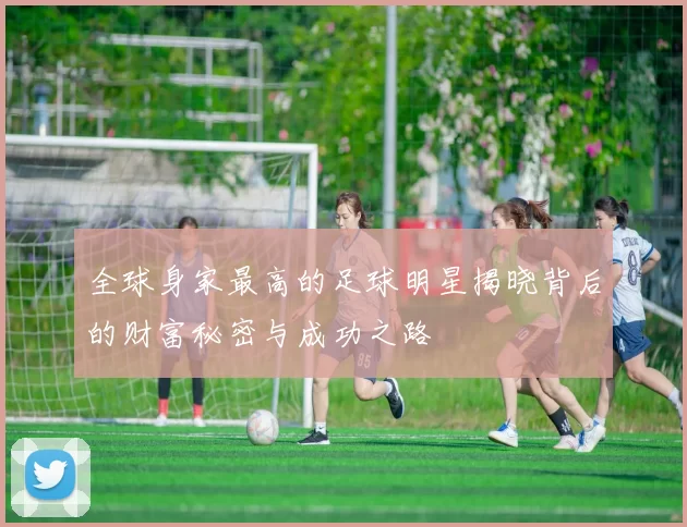 全球身家最高的足球明星揭晓背后的财富秘密与成功之路