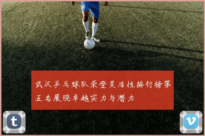 武汉乒乓球队荣登灵活性排行榜第五名展现卓越实力与潜力