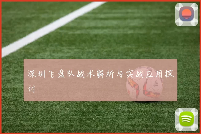 深圳飞盘队战术解析与实战应用探讨