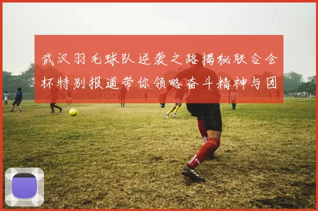 武汉羽毛球队逆袭之路揭秘联合会杯特别报道带你领略奋斗精神与团队力量