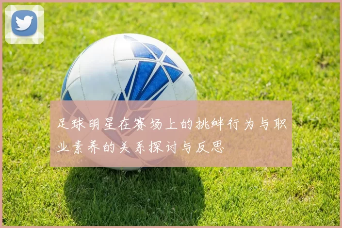 足球明星在赛场上的挑衅行为与职业素养的关系探讨与反思