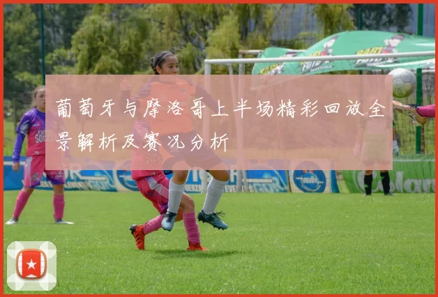 葡萄牙与摩洛哥上半场精彩回放全景解析及赛况分析