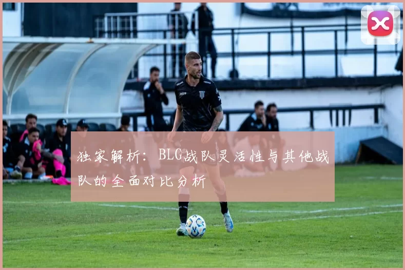 独家解析：BLG战队灵活性与其他战队的全面对比分析