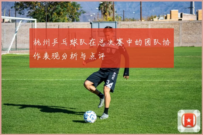 杭州乒乓球队在总决赛中的团队协作表现分析与点评