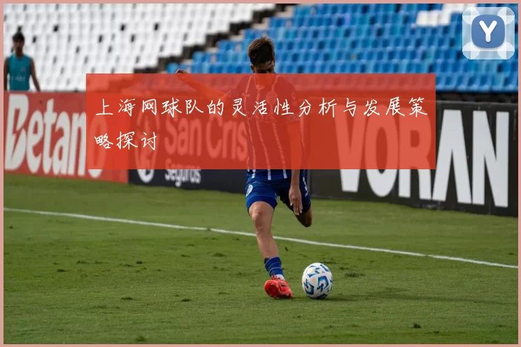 上海网球队的灵活性分析与发展策略探讨