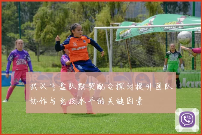 武汉飞盘队默契配合探讨提升团队协作与竞技水平的关键因素