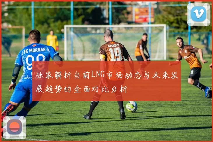 独家解析当前LNG市场动态与未来发展趋势的全面对比分析