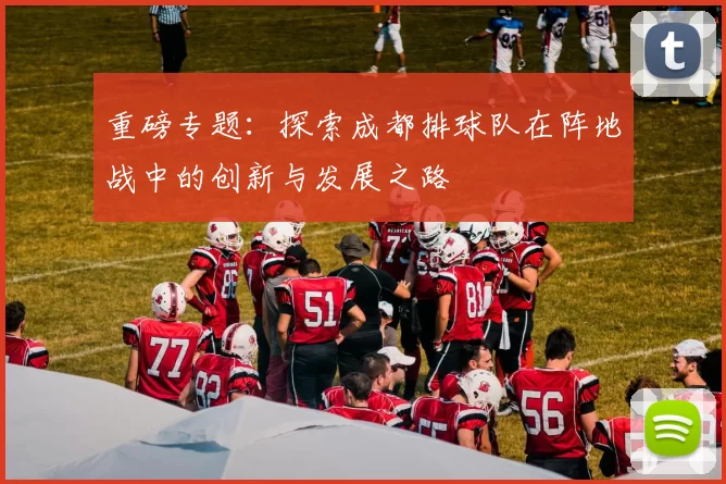 重磅专题：探索成都排球队在阵地战中的创新与发展之路