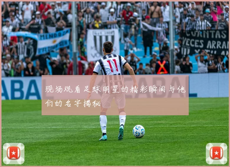 现场观看足球明星的精彩瞬间与他们的名字揭秘