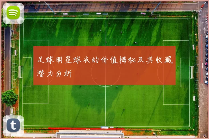 足球明星球衣的价值揭秘及其收藏潜力分析