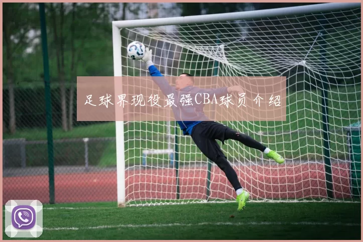 足球界现役最强CBA球员介绍