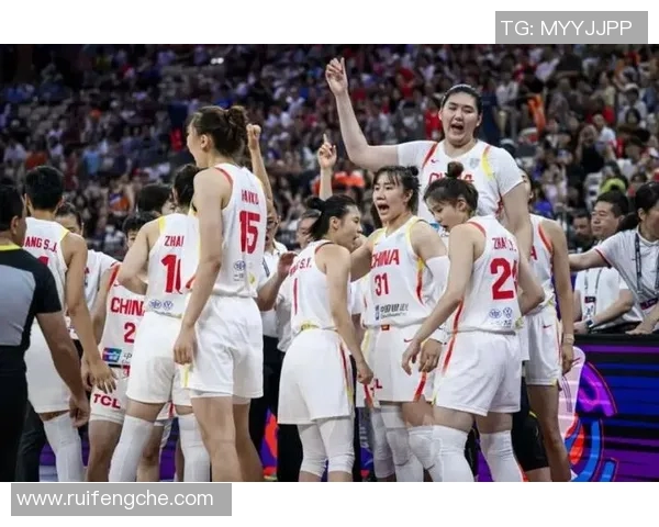 南京篮球队总决赛表现分析：意识与战术的完美结合与提升