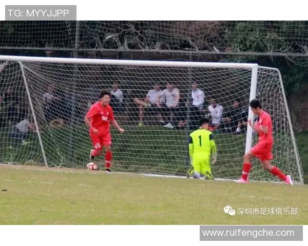 深圳羽毛球队的包夹战术揭秘与深度分析探讨