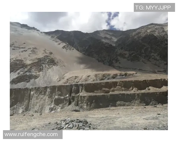 深度对话：探索王敏在和平精英中的成长与挑战之路