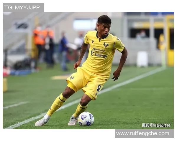 意甲球队埃利斯简介及其对俱乐部贡献分析