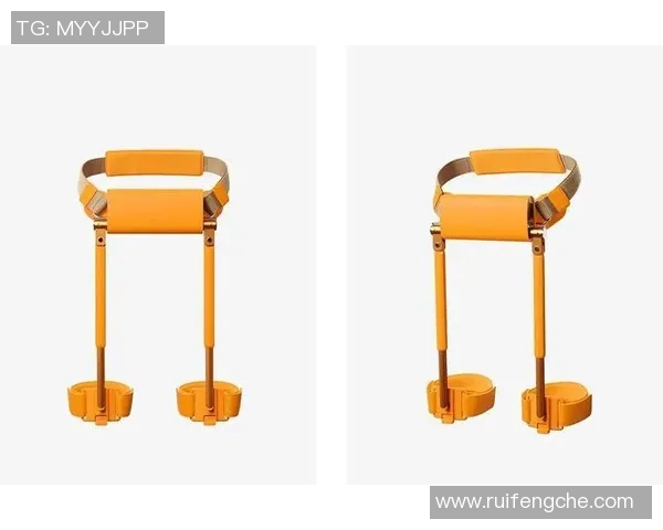 针对大体重人群设计的健身器材及使用建议